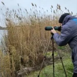 Завершено дослідження птахів для будівництва Полтавської ВЕС