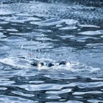 У Решетилівці у водоймі виявили тіло зниклої 9-річної дівчинки