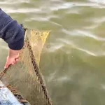 Браконьєри на Сулинській затоці: вилучено 750 метрів рибальських сіток