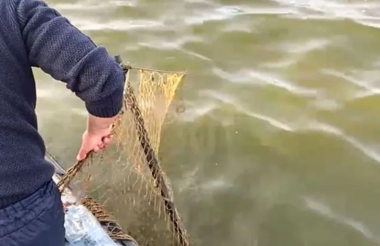 Браконьєри на Сулинській затоці: вилучено 750 метрів рибальських сіток