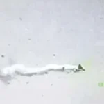 Атака дронів росії: українська ППО відбила напад на Полтавщині