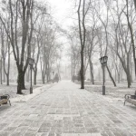 Прогноз погоди: невеликі морози та мокрий сніг у Полтаві цього тижня