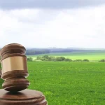 Козельщинська громада отримає 700 тис. грн за оренду землі