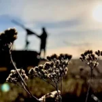 Ночью россияне атаковали Украину 151 БПЛА: ПВО Полтавщины сработала