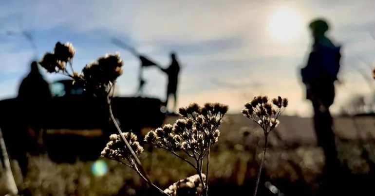 Ночью россияне атаковали Украину 151 БПЛА: ПВО Полтавщины сработала