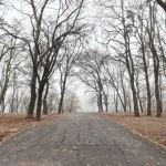 У Полтаві на тижні очікуються нічні морози та снігопади