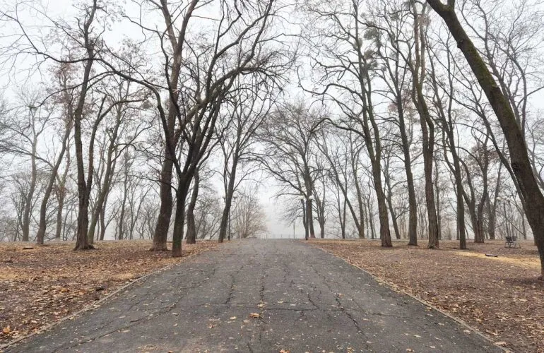 У Полтаві на тижні очікуються нічні морози та снігопади