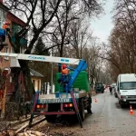 В Полтаве планируют удалить 1400 аварийных деревьев в 2025 году