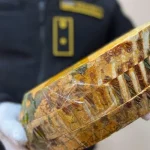 У Пирятині спробували контрабандою відправити зуби мамонта до США