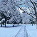 Прогноз погоды в Полтаве: небольшой снег и мороз на следующую неделю