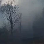 У Полтаві ліквідували загоряння сухої трави в дендропарку