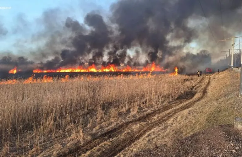 На Полтавщині зафіксовано 39 пожеж через спалювання рослинності