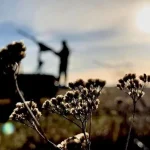 Вночі росіяни здійснили атаку на Україну 214 БпЛА