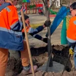 Полтава внедряет экологическую концепцию озеленения «3-30-300»