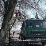 Коммунальщики Полтавы удалили аварийные деревья возле Белой Альтанки