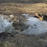 Витік нечистот у Пушкарівських ставках через засмічення колектора