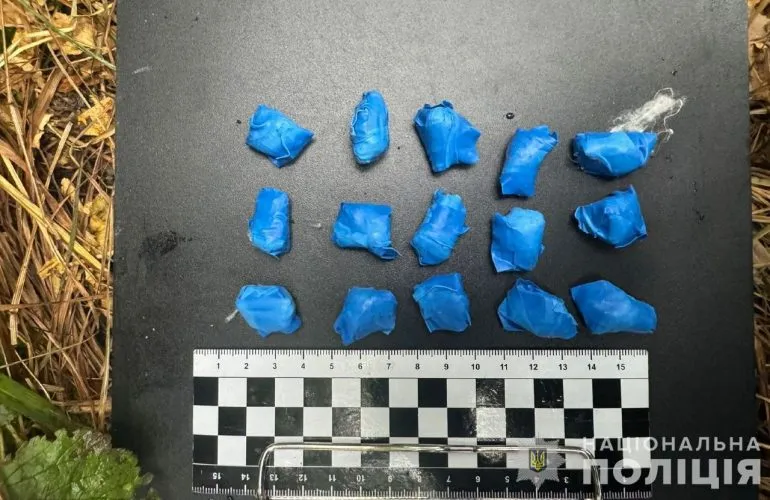 Патрульные выявили мужчин, которые искали наркотики на переулке Покровском