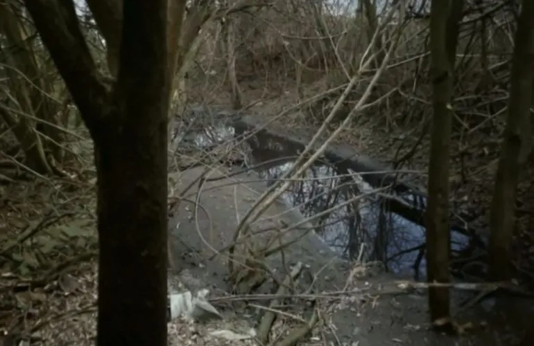 В Дендропарке Полтавы скапливаются сточные воды