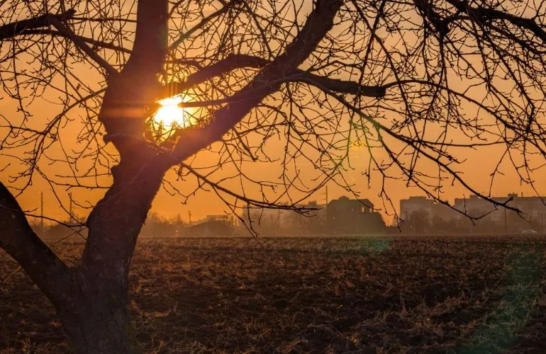 На следующей неделе в Полтаве ожидается похолодание до -5°C ночью