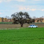 В Полтаве на следующей неделе ожидается сухая погода с температурой до +21°C