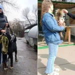 Полтава: Коммунальщики нашли новые семьи для бездомной кошки и собаки