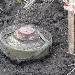 ДСНС Полтавщины: сапёры уничтожили 1583 боеприпаса в 2024 году