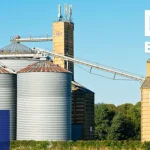 Директор Гребінківського елеватора подозревается в краже кукурузы на 2,3 млн грн