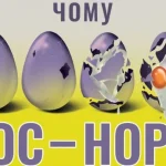 Как второй закон термодинамики может помочь в жизни