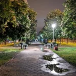 Прогноз погоды в Полтаве: дожди и температура до +15 градусов