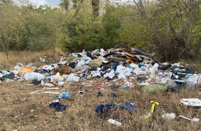 Держекоінспекція через суд вимагає ліквідації сміттєзвалища у Драбинівській громаді