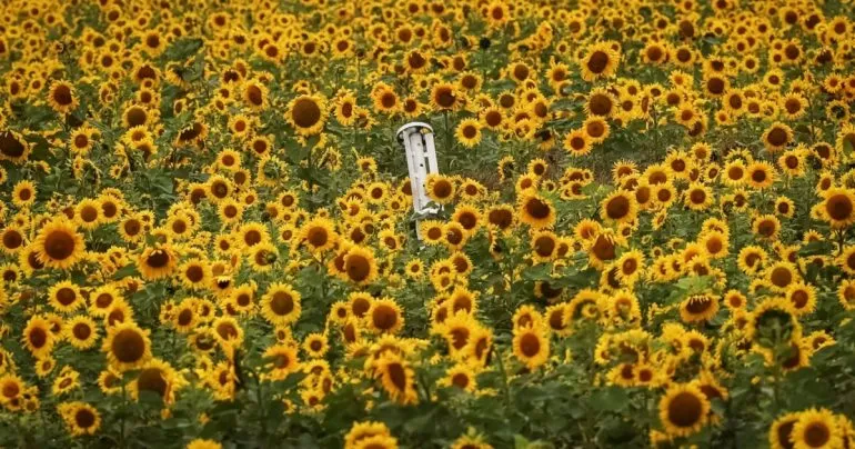 ЄС скасував торговельний безвіз для української агропродукції: що змінюється