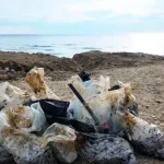 Чому на Азовському узбережжі окупованих територій зрив туристичного сезону