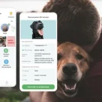 У Полтаві тварини з притулку отримали цифрові паспорти в системі Animal-ID