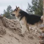 Оперативная ситуация на фронте: итоги дня по российскому вторжению