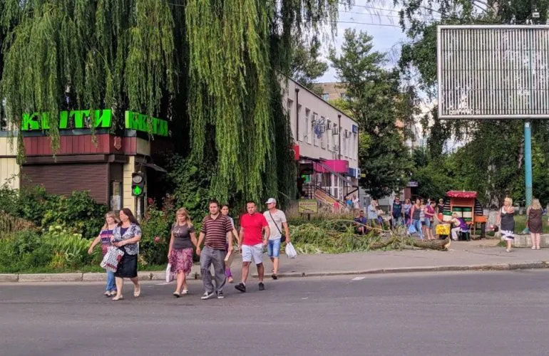 Полтавська міськрада виплатить майже 2,5 млн грн двом мешканцям, які постраждали від падіння дерев