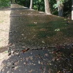 Адміністрація парку «Перемога» пояснила, чому змастила парапет мастилом