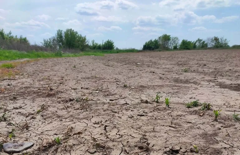 Полтавский горсовет рассматривает передачу футбольных полей в аренду на 49 лет