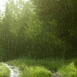 Прогноз погоды в Полтаве: кратковременные дожди и до +27°C на следующей неделе