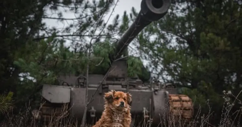 Оперативная информация о ситуации на фронте по состоянию на 2 июня 2025 года