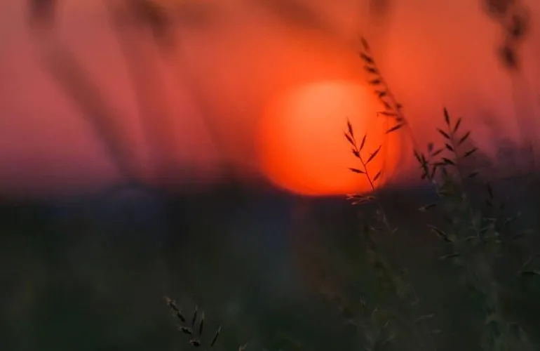 Погода у Полтаві: початок наступного тижня буде дощовим, а у четвер та п’ятницю прогнозують спеку