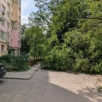 Негода на Полтавщині залишила понад тисячу споживачів без електроенергії