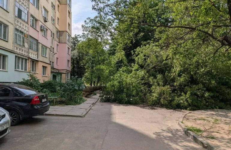 Непогода на Полтавщине оставила более тысячи потребителей без электроэнергии