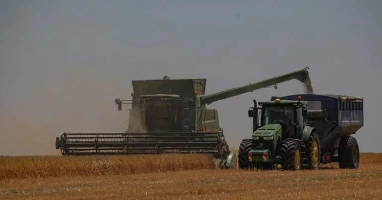 Як вивозять українське зерно з окупованих територій: роль компанії, пов’язаної з Медведчуком