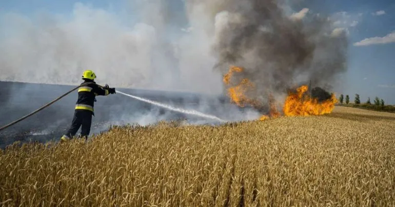Поліція розслідує підпали пшеничних полів у Абазівці та Щербанях на Полтавщині