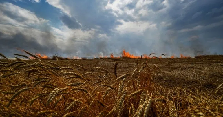 ЄС оновив умови торгівлі з Україною: квоти зростають, критику визнано часто необґрунтованою