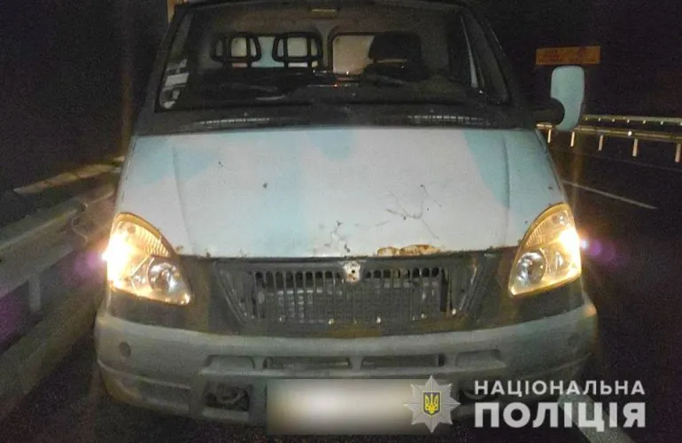 Суд призначив умовне покарання водієві, який збив пішохода біля Полтави