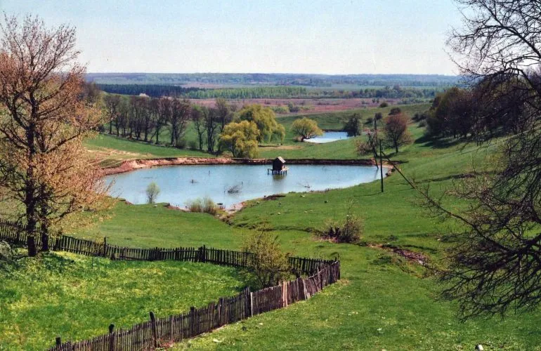 Фотоконкурс «Вікі любить Землю» 2025: як взяти участь та головні номінації