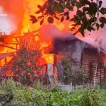 Росія атакувала Україну 574 дронами та 40 ракетами: результат роботи ППО