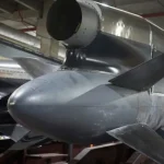 Украинская ракета «Фламинго» может поражать цели на расстоянии до 3000 км