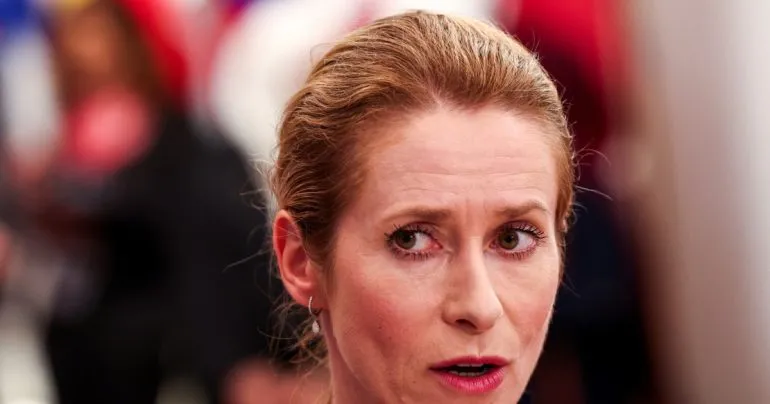 ЕС поддерживает инициативы США для достижения справедливого мира в Украине